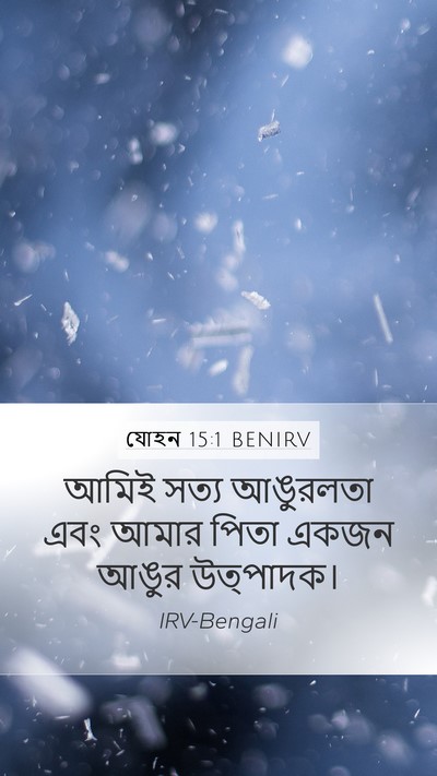 যোহন 15:1 BENIRV Bible Verse Image
