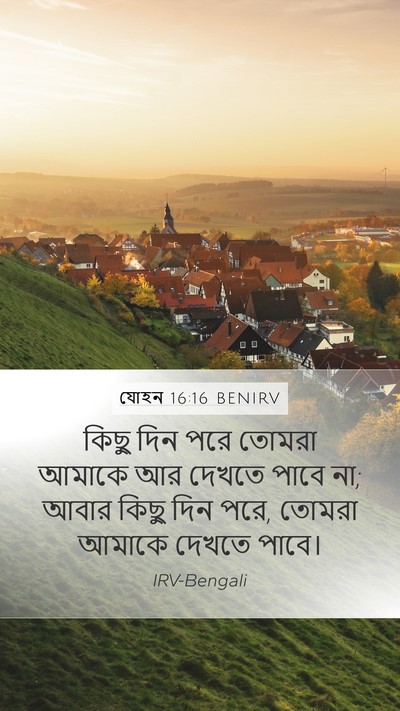 যোহন 16:16 BENIRV Bible Verse Image