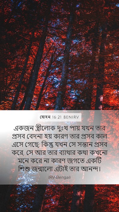 যোহন 16:21 BENIRV Bible Verse Image