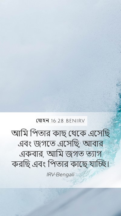 যোহন 16:28 BENIRV Bible Verse Image