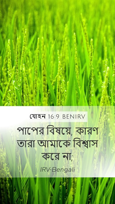 যোহন 16:9 BENIRV Mobile Phone Wallpaper - পাপের বিষয়ে, কারণ - Mobile Bible Verse Wallpaper