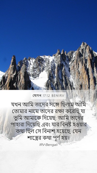 যোহন 17:12 BENIRV Bible Verse Image