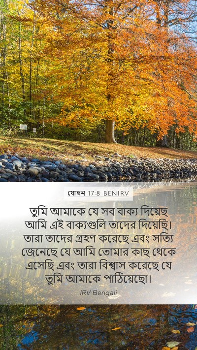 যোহন 17:8 BENIRV Bible Verse Image