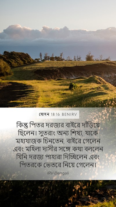 যোহন 18:16 BENIRV Bible Verse Image