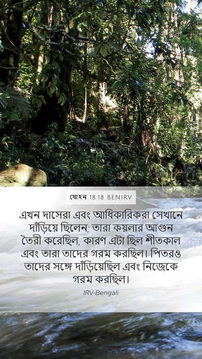 যোহন 18:18 BENIRV Bible Verse Image