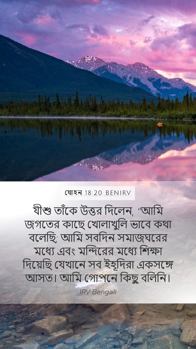 যোহন 18:20 BENIRV Bible Verse Image