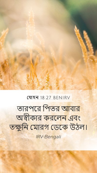 যোহন 18:27 BENIRV Bible Verse Image