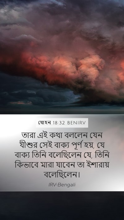 যোহন 18:32 BENIRV Mobile Phone Wallpaper - তারা এই কথা বললেন - Mobile Bible Verse Wallpaper