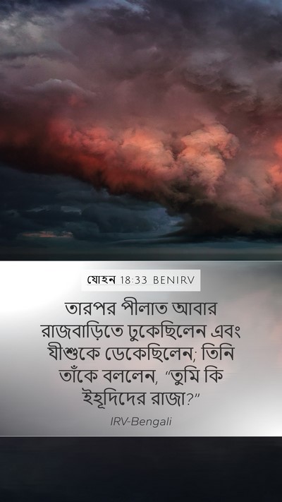 যোহন 18:33 BENIRV Bible Verse Image