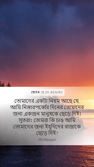 যোহন 18:39 BENIRV Bible Verse Image
