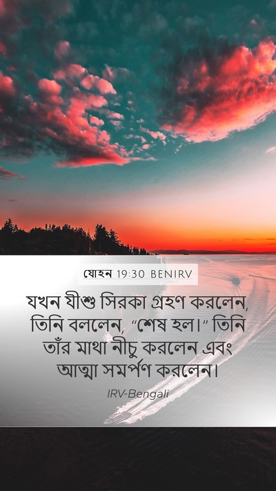 যোহন 19:30 BENIRV Bible Verse Image