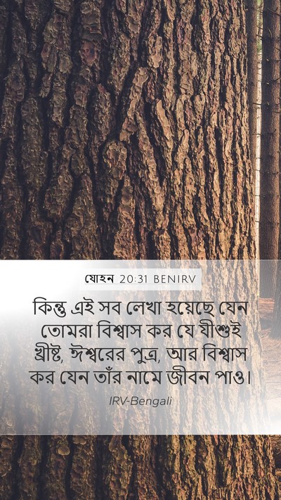 যোহন 20:31 BENIRV Bible Verse Image