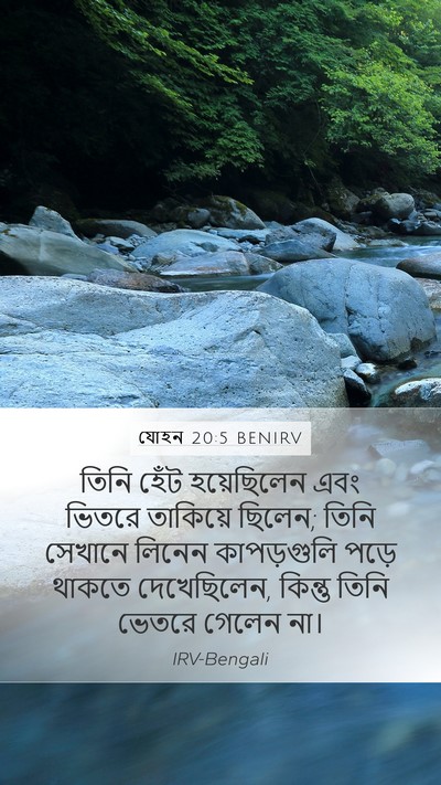 যোহন 20:5 BENIRV Mobile Phone Wallpaper - তিনি হেঁট - Mobile Bible Verse Wallpaper
