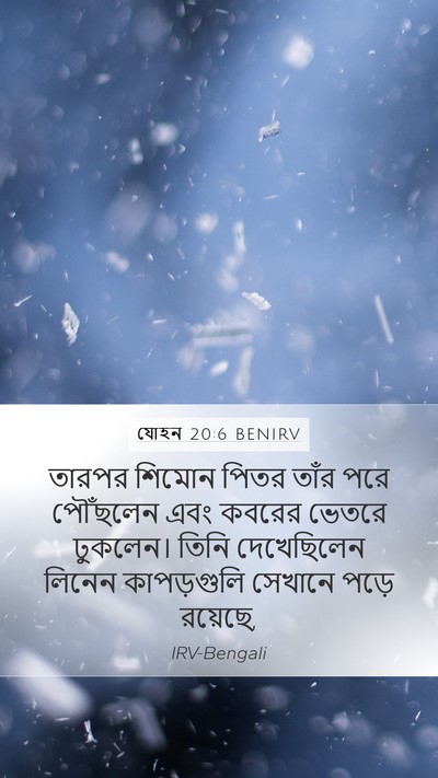 যোহন 20:6 BENIRV Bible Verse Image