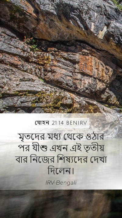 যোহন 21:14 BENIRV Bible Verse Image