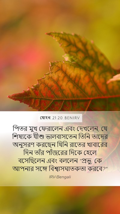যোহন 21:20 BENIRV Bible Verse Image
