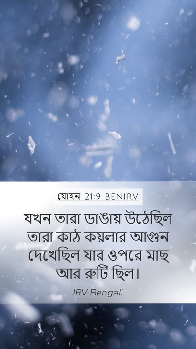 যোহন 21:9 BENIRV Bible Verse Image