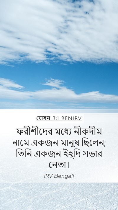 যোহন 3:1 BENIRV Bible Verse Image