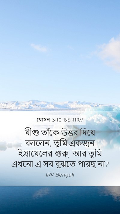 যোহন 3:10 BENIRV Bible Verse Image