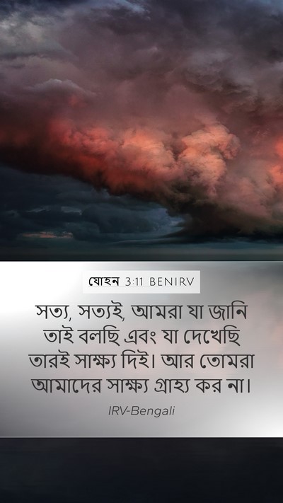 যোহন 3:11 BENIRV Bible Verse Image