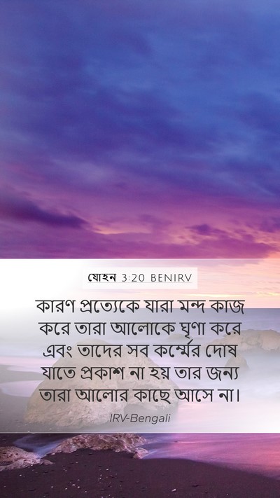 যোহন 3:20 BENIRV Bible Verse Image