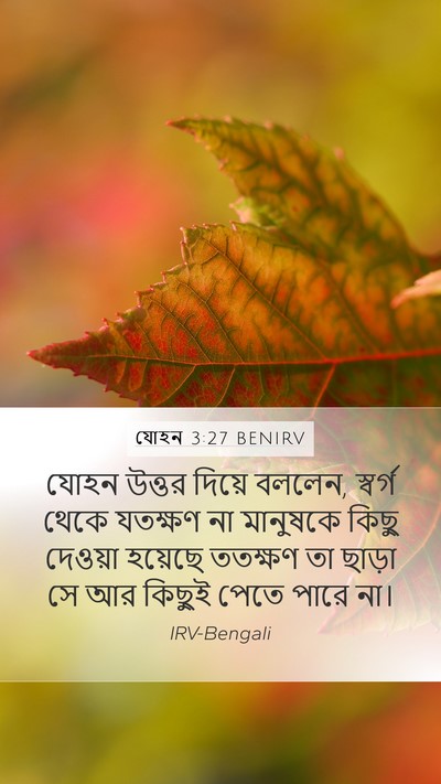 যোহন 3:27 BENIRV Bible Verse Image