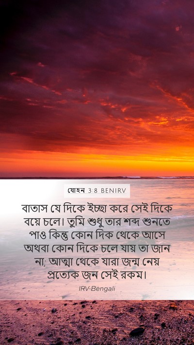 যোহন 3:8 BENIRV Bible Verse Image
