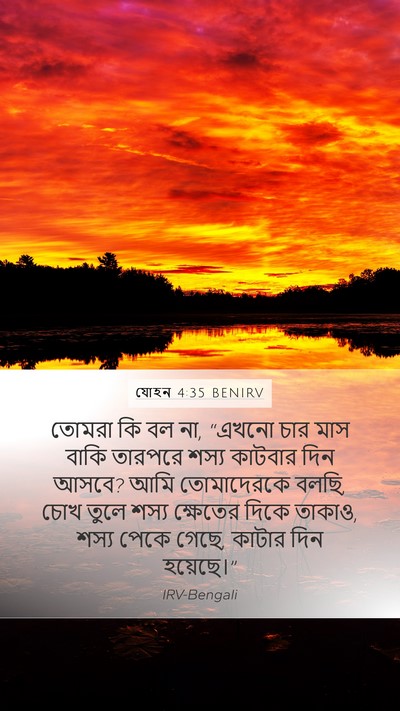 যোহন 4:35 BENIRV Bible Verse Image