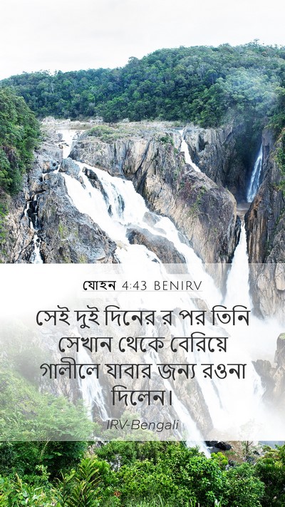 যোহন 4:43 BENIRV Bible Verse Image