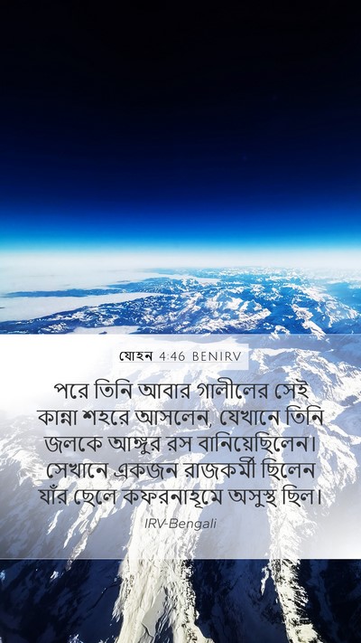 যোহন 4:46 BENIRV Bible Verse Image