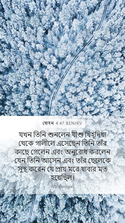 যোহন 4:47 BENIRV Bible Verse Image
