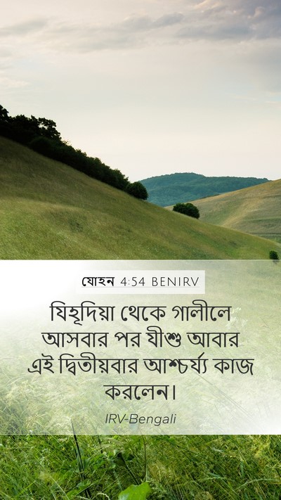 যোহন 4:54 BENIRV Bible Verse Image