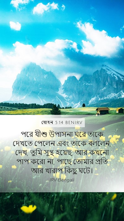 যোহন 5:14 BENIRV Bible Verse Image