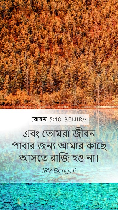 যোহন 5:40 BENIRV Bible Verse Image