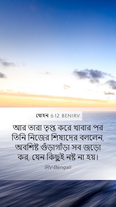 যোহন 6:12 BENIRV Bible Verse Image