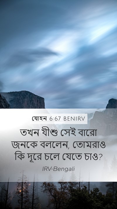 যোহন 6:67 BENIRV Bible Verse Image