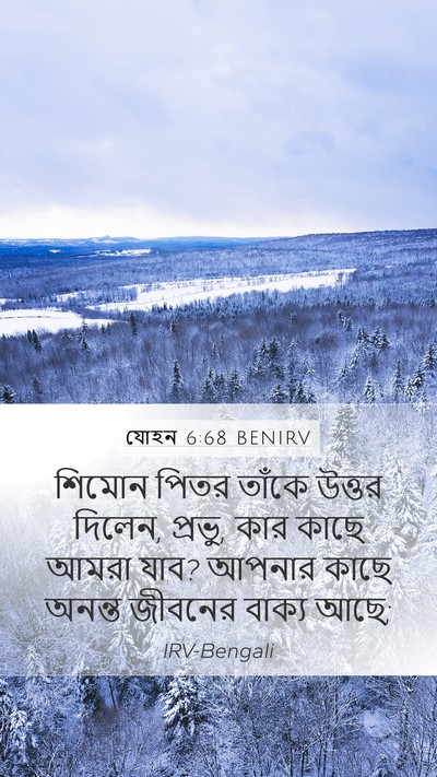 যোহন 6:68 BENIRV Bible Verse Image