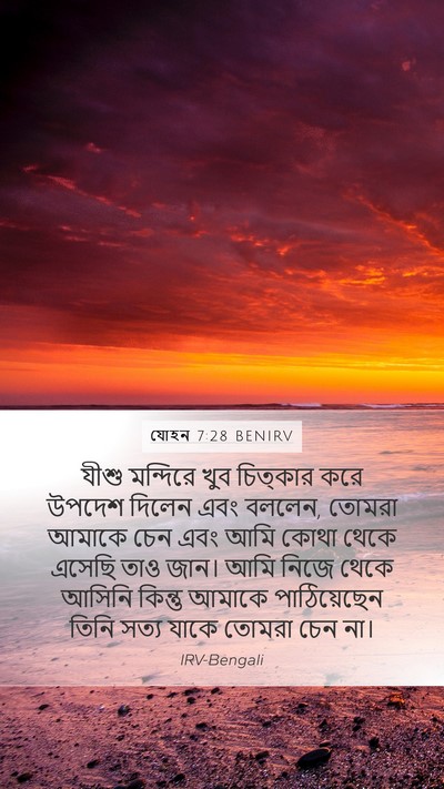 যোহন 7:28 BENIRV Bible Verse Image