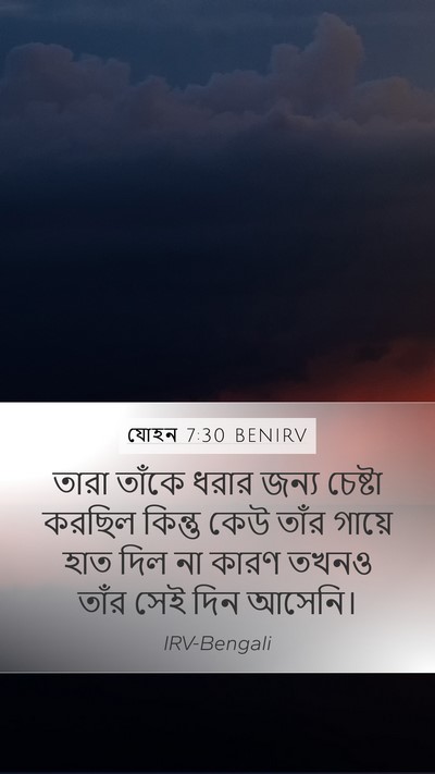 যোহন 7:30 BENIRV Bible Verse Image