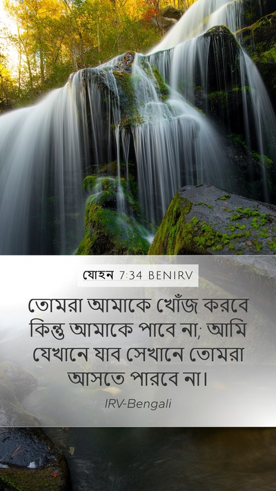 যোহন 7:34 BENIRV Bible Verse Image
