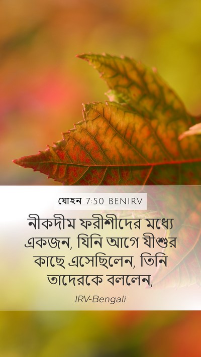 যোহন 7:50 BENIRV Mobile Phone Wallpaper - নীকদীম ফরীশীদের - Mobile Bible Verse Wallpaper