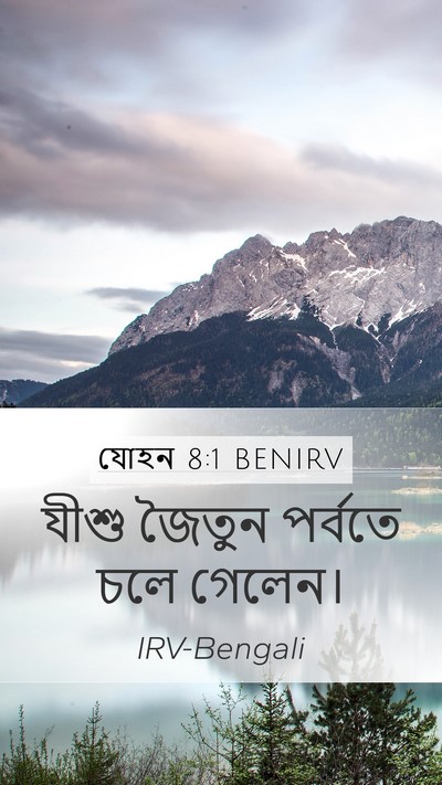যোহন 8:1 BENIRV Bible Verse Image