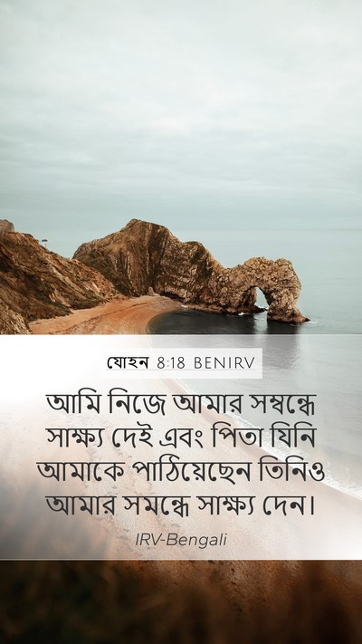 যোহন 8:18 BENIRV Mobile Phone Wallpaper - আমি নিজে আমার - Mobile Bible Verse Wallpaper