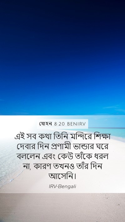 যোহন 8:20 BENIRV Bible Verse Image
