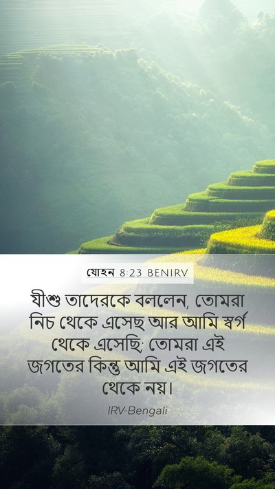 যোহন 8:23 BENIRV Bible Verse Image