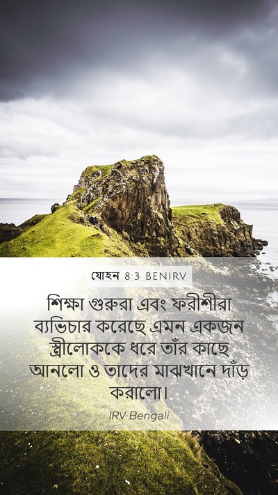 যোহন 8:3 BENIRV Bible Verse Image