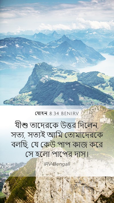 যোহন 8:34 BENIRV Bible Verse Image