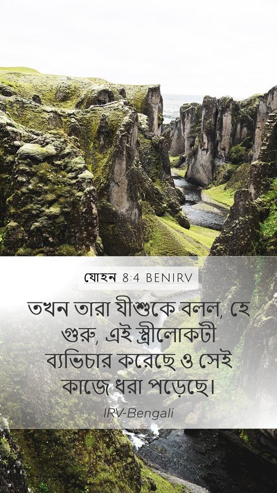 যোহন 8:4 BENIRV Bible Verse Image