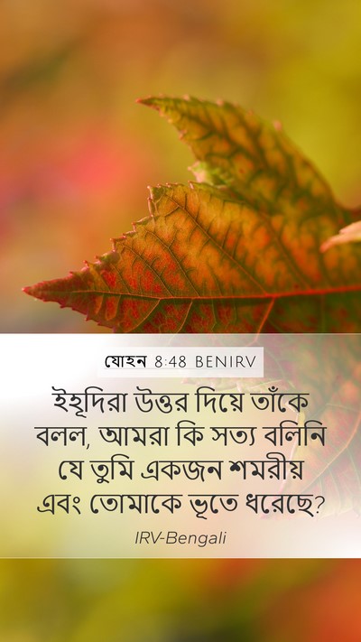 যোহন 8:48 BENIRV Bible Verse Image
