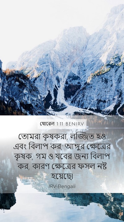 যোৱেল 1:11 BENIRV Bible Verse Image